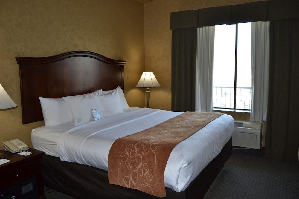 Comfort Suites Alamo-River Walk San Antonio Kültér fotó